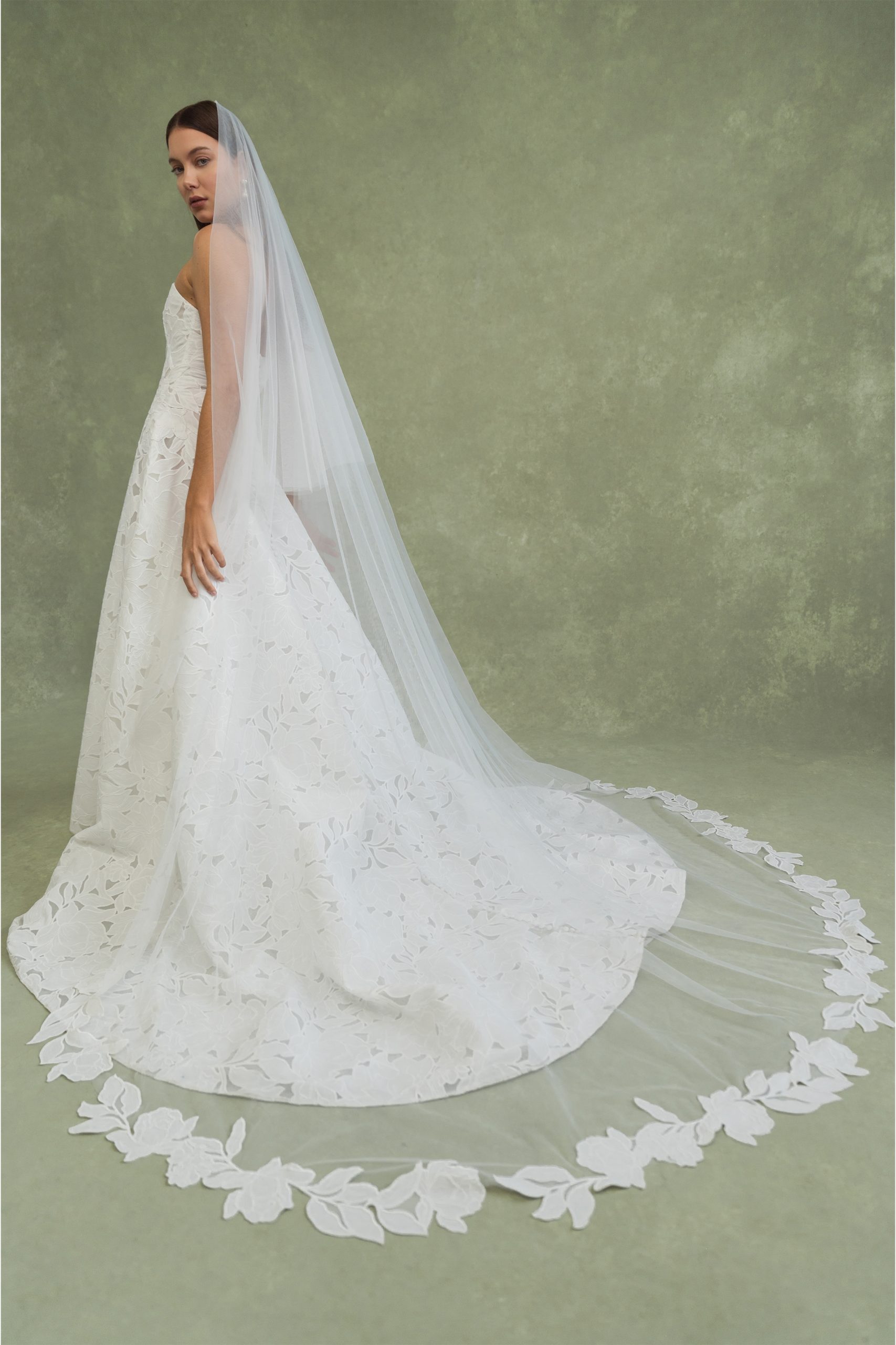 BRODY veil