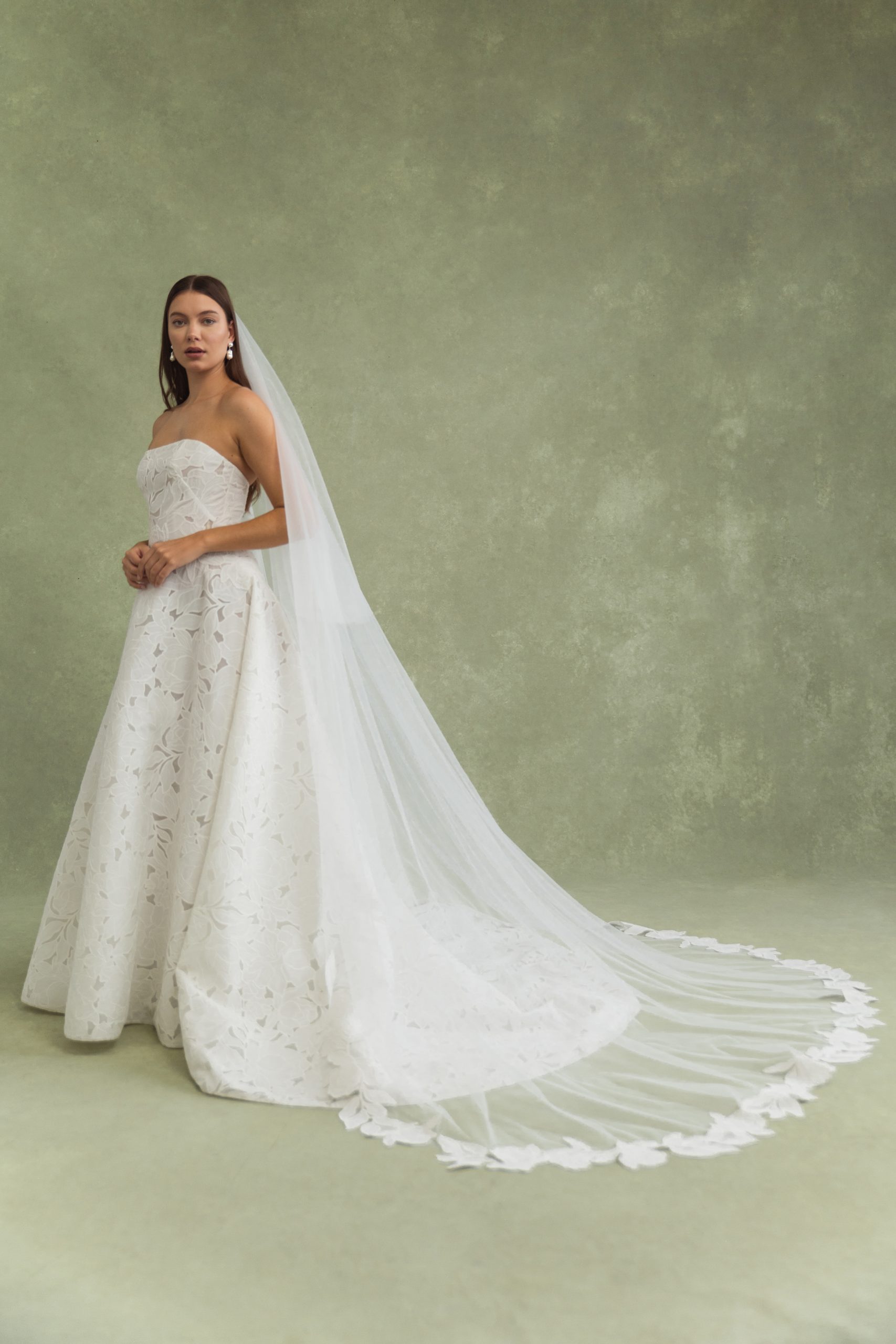 BRODY veil